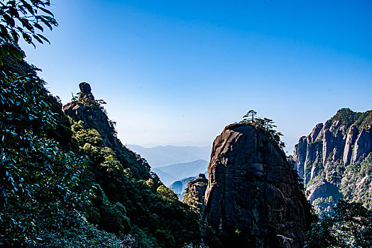 催春水批发价格F3381681-338168